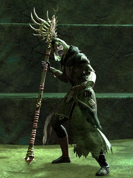File:Risen Acolyte (male 2 staff).jpg