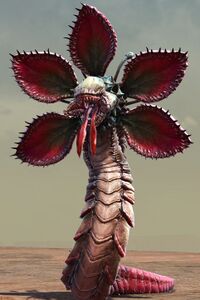 Fanged Iboga.jpg
