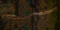 Thumbnail for version as of 17:32, 10 July 2026