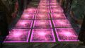 Thumbnail for version as of 02:39, 7 July 2026