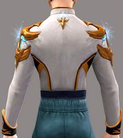 Acclaimed Militia Chestpiece back.jpg