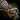 Pirate Cosmetic Bundle
