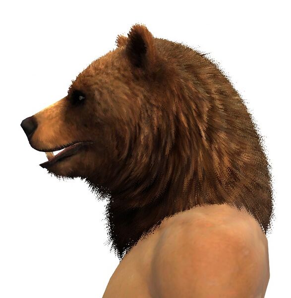 File:Bear-Blessed Visage side.jpg