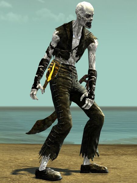 File:Risen Pirate (male 4).jpg