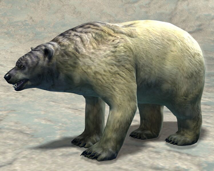 File:Polar Bear (alt).jpg