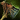 Untamed's Hammer.png