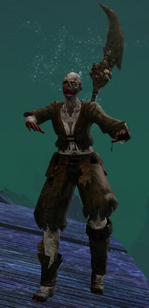File:Risen Pirate (female 3 spear).jpg