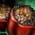 Stuffed Pepper.png