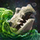Gravewater Ooze.png