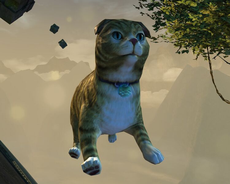 File:Gigantic cat Rata Sum.jpg