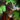 Mini Zaishen Zealot.png