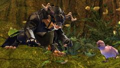 Nasica Grizzlefur.jpg