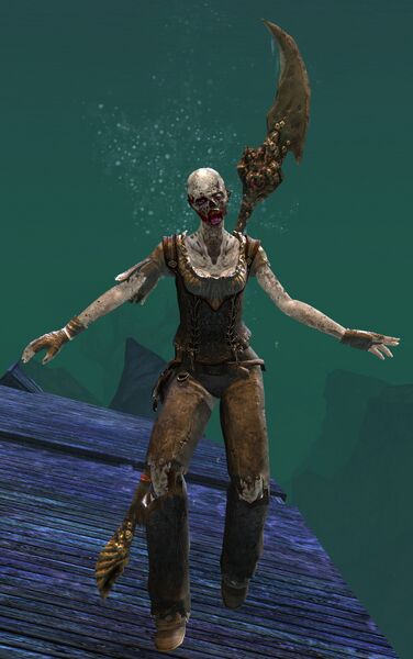 File:Risen Pirate (female 4 spear).jpg