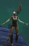 Risen Pirate (female 4 spear).jpg