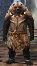 Lowland Kodan heavy 5.jpg