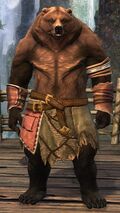 Lowland Kodan heavy 3.jpg