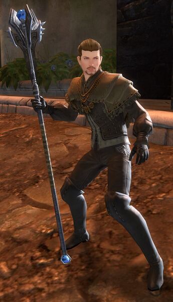 File:Veteran Ascalonian Healer (human).jpg