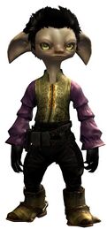 Ornate Clothing Outfit