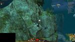 Aspect Gatherer 31 2021.jpg