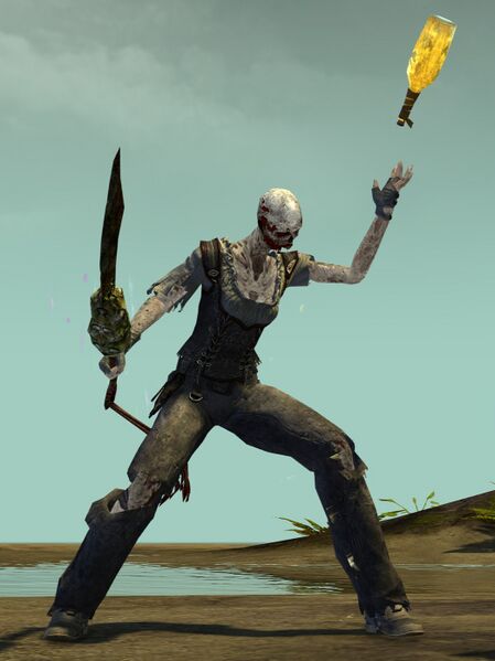 File:Risen Pirate (female 4).jpg