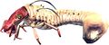 Bestiary Grub.jpg