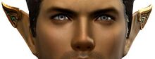 Noble Pointed Ears Helm Skin.jpg