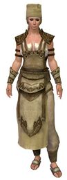 Cook's Outfit