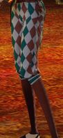 Lunatic Jester's Trousers.jpg
