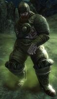 Risen Plague Carrier (norn).jpg