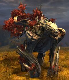 Red-Leafed Oakheart.jpg