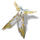 Herald of Aurene Cape (package).png