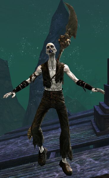 File:Risen Pirate (male 4 spear).jpg