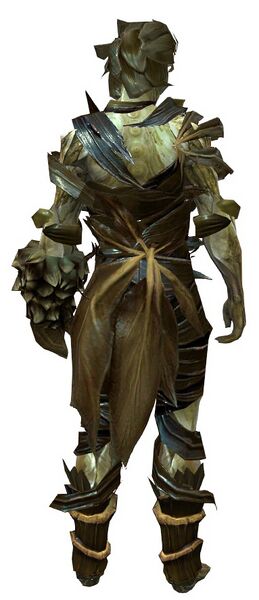 File:Cook's Outfit sylvari male back.jpg