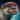 Mini River Otter.png