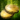 Essence of Gold.png