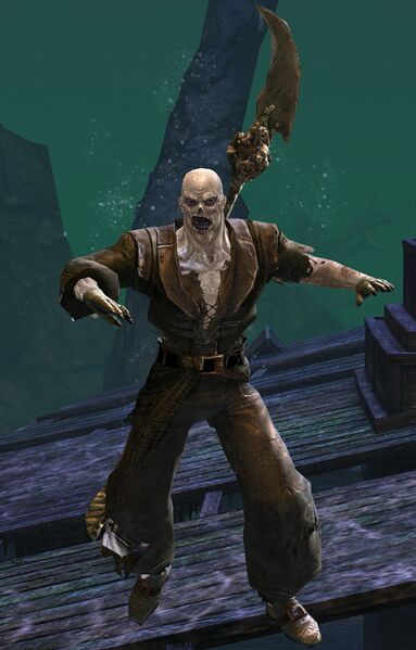 File:Risen Pirate (male 2 spear).jpg