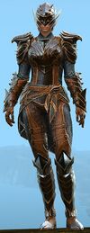 Ebon Vanguard Elite Outfit