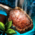 Plate of Coriander Crusted Meat.png