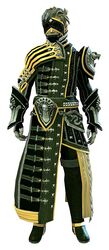 Seer armor sylvari male front.jpg