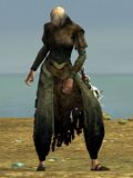 Unchained Villager (Canthan female 1).jpg