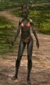 Newborn sylvari female 2.jpg