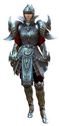 Ceremonial Plated Outfit