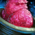 Bowl of Prickly Pear Sorbet.png