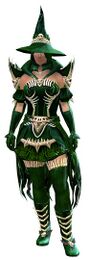 Witch's Outfit