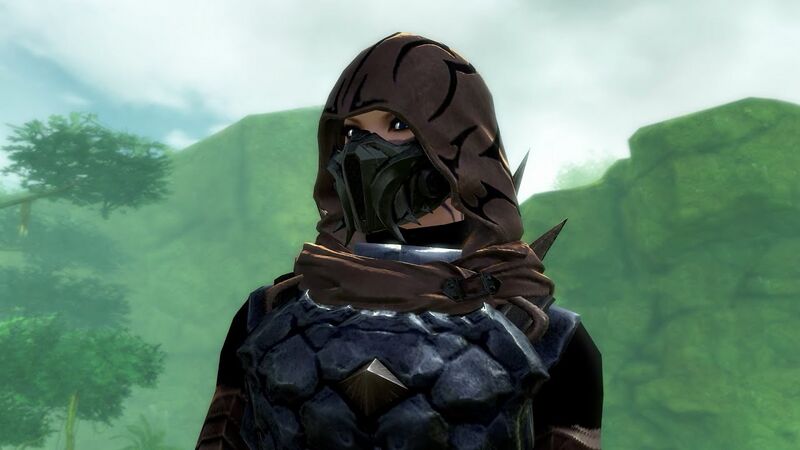 File:Heretical Scholar's Hood Skin promo.jpg