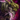 Mini Awakened Abomination.png