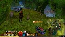 Skyscale Lost—Skipping Stones.jpg