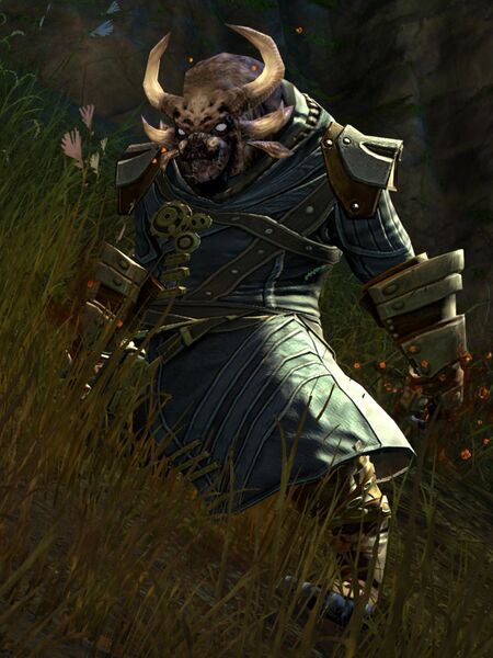 File:Aetherblade Grenadier (Risen male).jpg