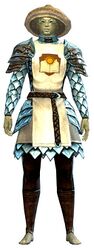 Guild Defender armor sylvari male front.jpg