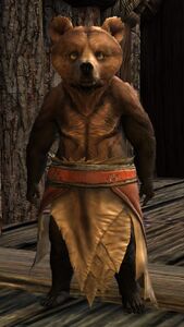 Lowland Kodan Cub light 1.jpg